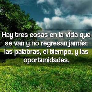 Meet your Posher, Elena